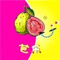 菠萝菠萝蜜免费视频高清观看最新版