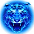靠比较软件短视频软件免费大全30秒